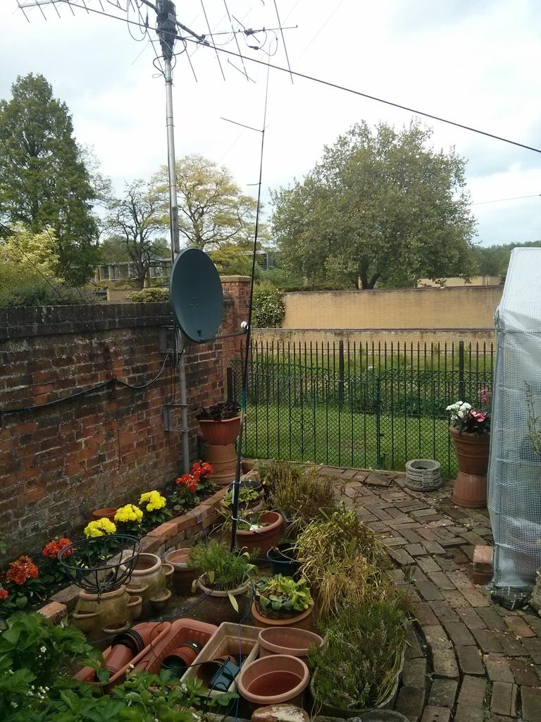 Image of my 10m GP in the garden Image of my 10m GP in the garden